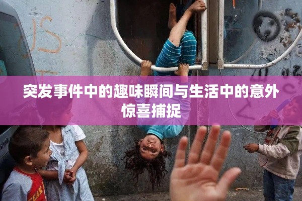突发事件中的趣味瞬间与生活中的意外惊喜捕捉