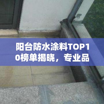 阳台防水涂料TOP10榜单揭晓，专业品质，防水无忧！
