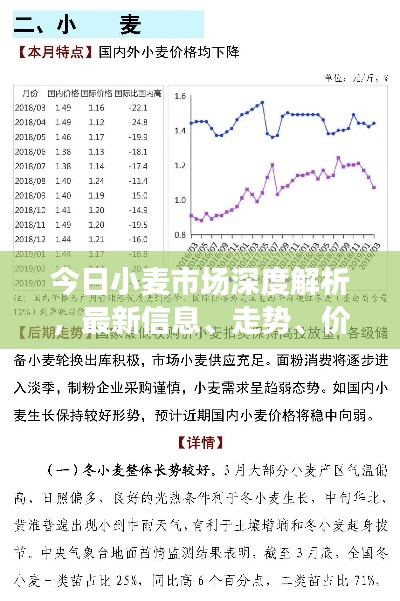 今日小麦市场深度解析，最新信息、走势、价格动态与影响因素全解析