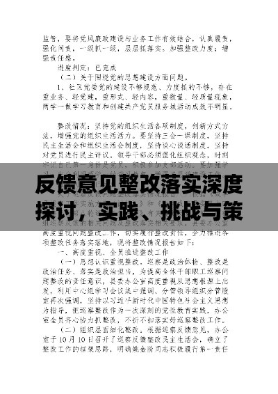 反馈意见整改落实深度探讨，实践、挑战与策略