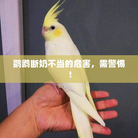 蝇声蛙噪