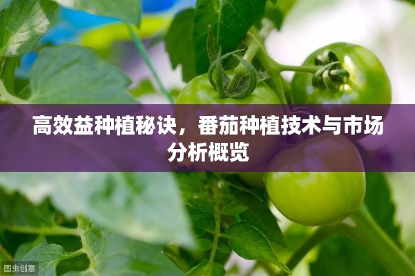 窗明几净