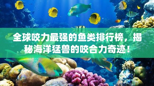 全球咬力最强的鱼类排行榜，揭秘海洋猛兽的咬合力奇迹！