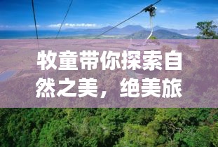 鲜花用途 第5页