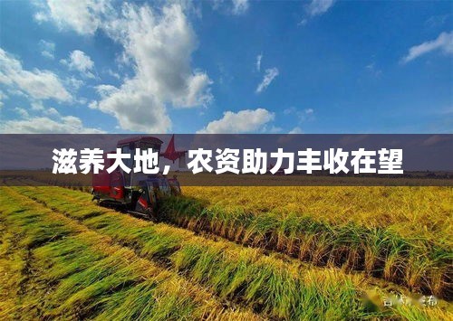 滋养大地，农资助力丰收在望