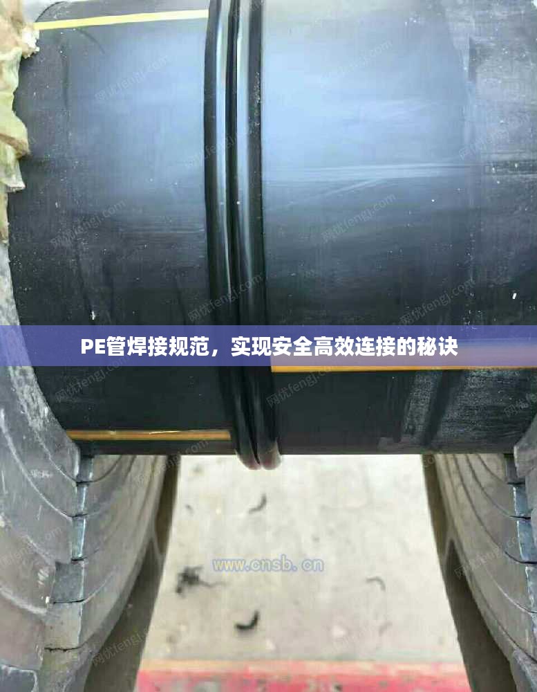 草间求活