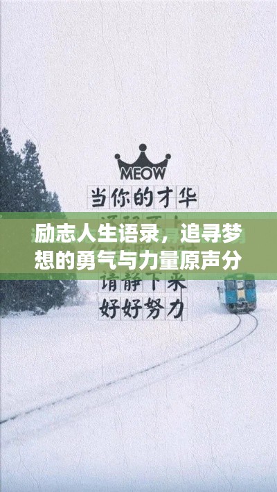 励志人生语录，追寻梦想的勇气与力量原声分享