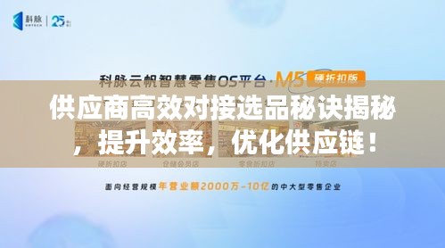 供应商高效对接选品秘诀揭秘，提升效率，优化供应链！