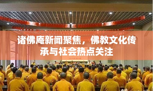诸佛庵新闻聚焦，佛教文化传承与社会热点关注