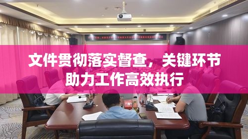 文件贯彻落实督查，关键环节助力工作高效执行
