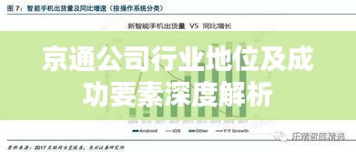 京通公司行业地位及成功要素深度解析