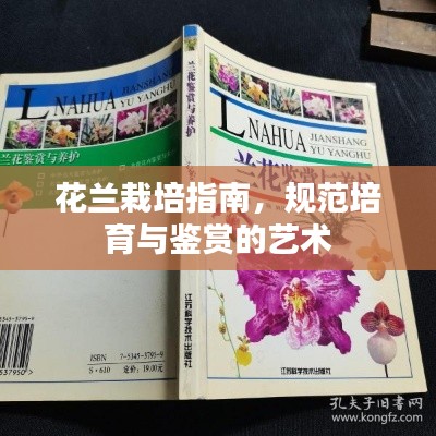 花兰栽培指南，规范培育与鉴赏的艺术