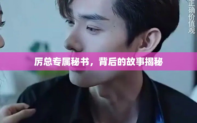 厉总专属秘书，背后的故事揭秘