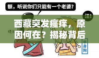 西藏突发瘙痒，原因何在？揭秘背后真相！