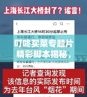 叮咚买菜专题片精彩脚本揭秘，一窥便知！