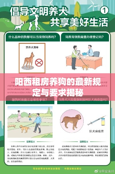 阳西租房养狗的最新规定与要求揭秘