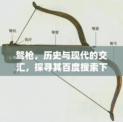 驽枪，历史与现代的交汇，探寻其百度搜索下的故事