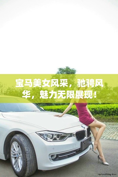 宝马美女风采，驰骋风华，魅力无限展现！